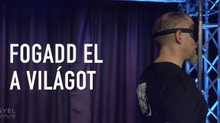 Fogadd el a világot!