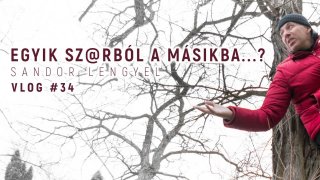 VLOG #34 - Egyik szarból a másikba?